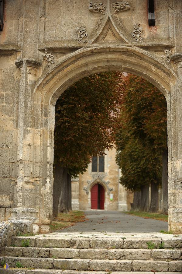 Nom de l'image : D30080433_1_(c)Norbert-JUNG — Description :